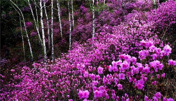 1527560432047005298.jpg 5b064ee5a3103f68b65cc0fa.jpg