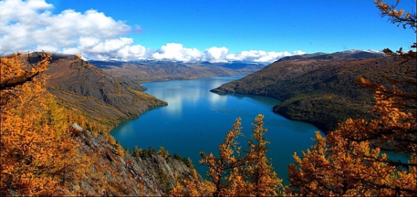 1537864940722067383.jpg 5ba5b817a310c4ccaa00498a.jpg