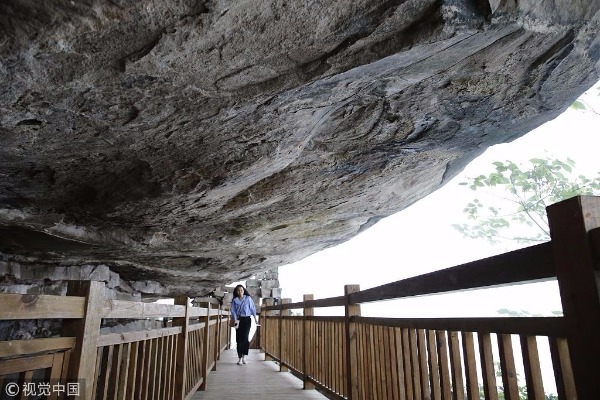 1524880659696019819.jpeg 3.1.jpeg