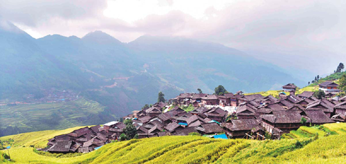 1531723035177005606.png 5b47eea4a310796d8b4b87d0 (1).png