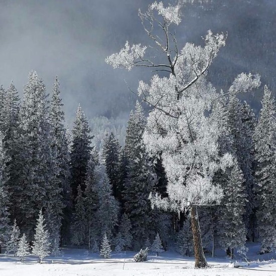 1545286815009026559.jpg 5c19ad4ea3107d4c81698410.jpg