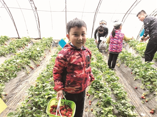 1554106530325024920.jpg res01_attpic_brief (4).jpg