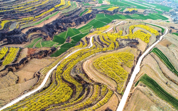 1554083178785073950.jpg W020190328217086547069_副本.jpg