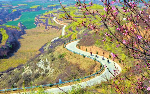 1554083190118090159.jpg W020190328217087751742_副本.jpg