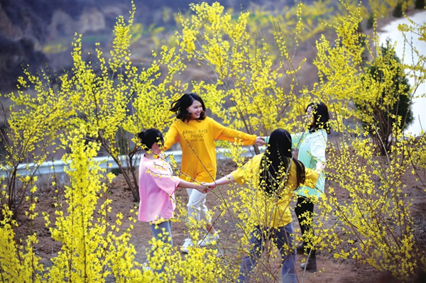 1554083247542041571.jpg W020190328217088730184_副本.jpg