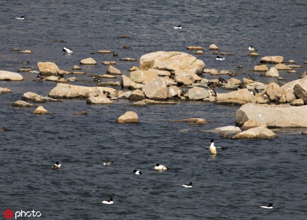 1554191012983093690.jpg 286ed488c82d1e0d27584c.jpg