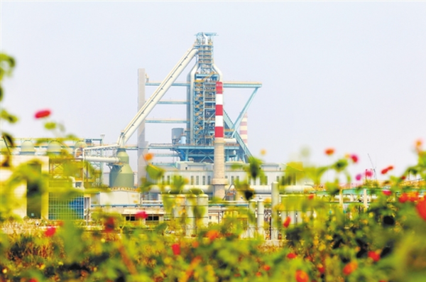 1554260512802085640.png 截图_20190402163813_副本.png