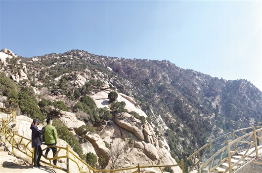 1554860611528061558.jpg res01_attpic_brief (9).jpg