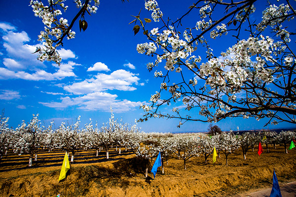 1555049234250083775.jpg 0025ab8d11361e17e5eb01.jpg