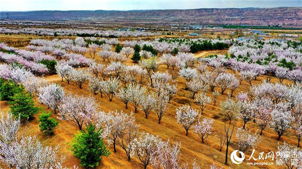 1555314222242073769.jpg 2_副本.jpg