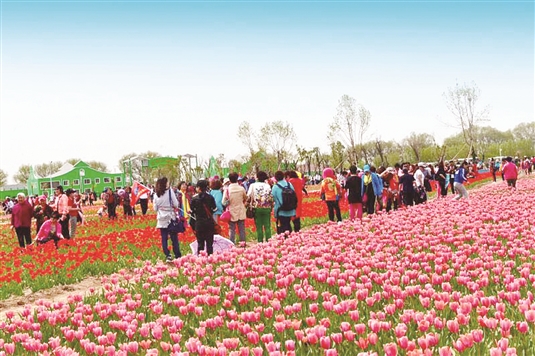 1555314451530026182.jpg 2.jpg