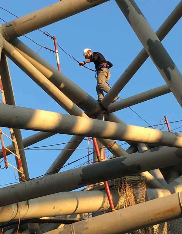 1555377754498009716.jpg 2_副本.jpg