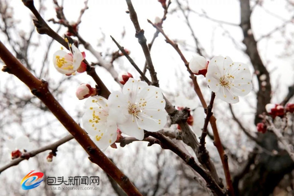 1555465280028011889.jpg 0102e23ad38b97b6464b469fa29498a6_副本.jpg