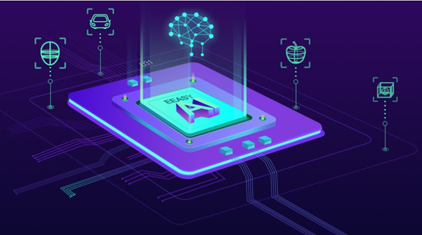 1555463337563028412.jpg 1_副本.jpg