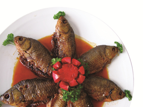 1523323009954081075.jpg 鱼.jpg