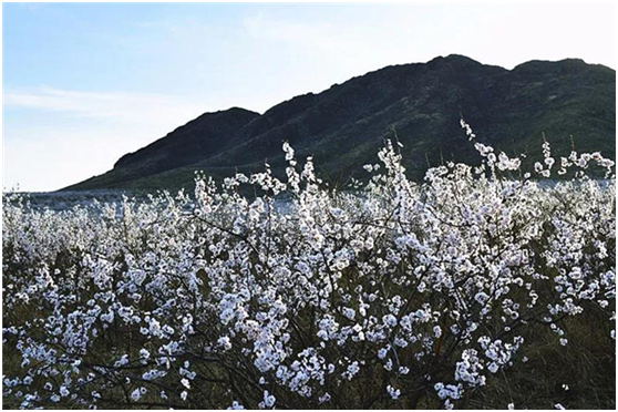 1555893743278038456.png 1.png