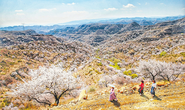 1555493092811026994.jpg 8569c9f98af3ae043328522b82586171_副本.jpg