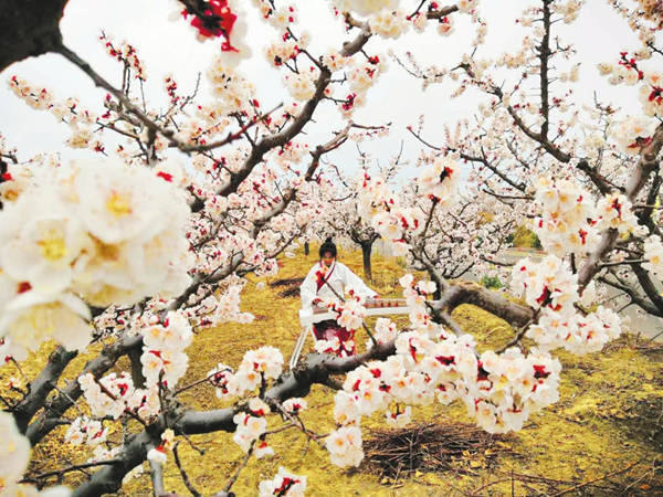 1555493114733055316.jpg 1ad7e934b64440bb5cf2d9586a81e159_副本.jpg