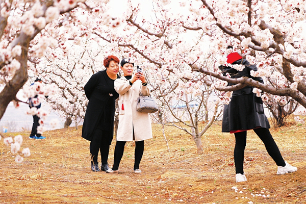 1555493138682088904.jpg 0c58b6779d877a38251ae2195be060a3_副本.jpg