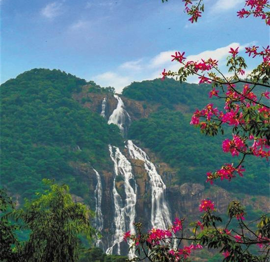 1539653057694086331.jpg 1.jpg