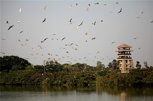 1539653091504072436.jpg 2.jpg