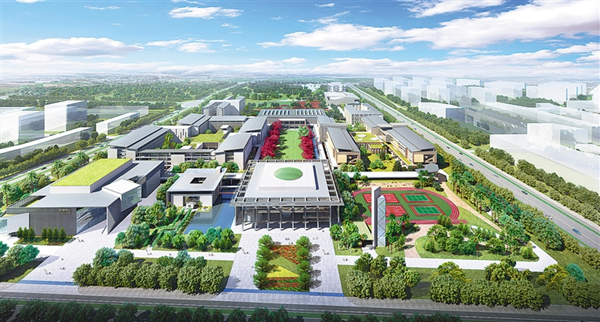 1555926145581028451.jpg n3_副本.jpg