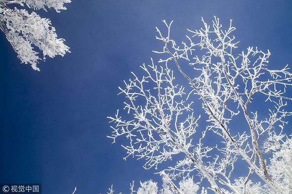 1552011521471027716.jpg VCG11495974617.jpg