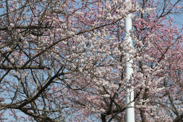 1556068950310093629.jpg 286ed488c82d1e2924a029.jpg