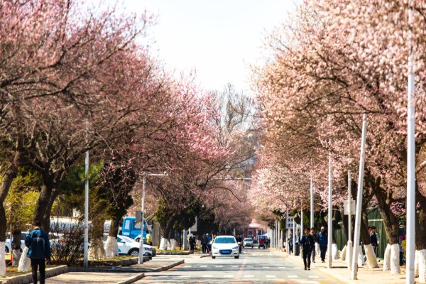 1556068971594022386.jpg 286ed488c82d1e2924a62a.jpg