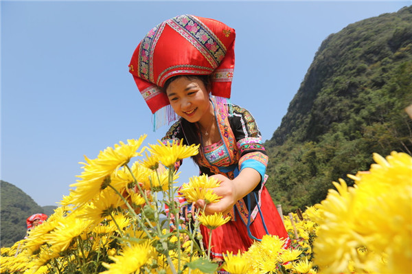 1556007192675072352.jpg 农业_副本.jpg