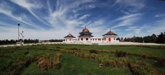 1556101188863023316.jpg 1.jpg