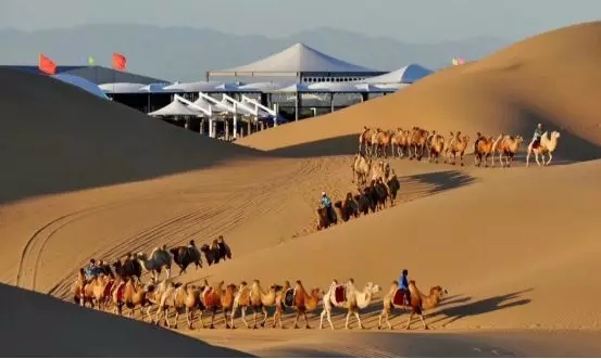 1556101240635053925.jpg 1.jpg