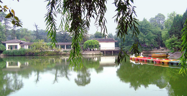 1521100399575070084.jpg q1_副本.jpg