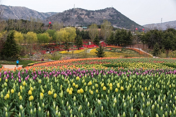 1556161666220040687.jpg ee6c1d0b-d0f4-4f00-8633-4198bfa205f6.jpg