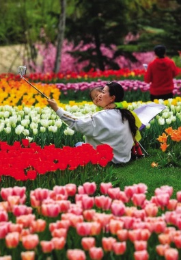 1556161772903099605.jpg A061556035621314_change_A06424-1b002.jpg