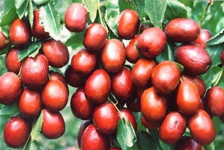 1541727234386092644.jpg 286ed488c7e615bd2bd90d.jpg