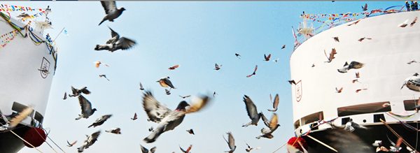 1545892398462088328.png 0d70de3b4adaed0453f3e5a0f1671e9_副本.png