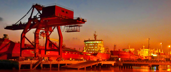 1545892467065057572.png 99e65dfc031fef36a1a8f357fbb1d8b_副本.png