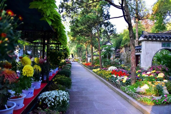 1538013417576024299.jpg 02.jpg