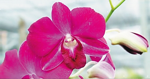 1556180968050010321.jpg i2.jpg