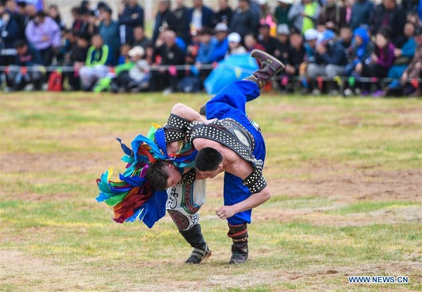 1556239835877097788.jpg ordos1.jpg