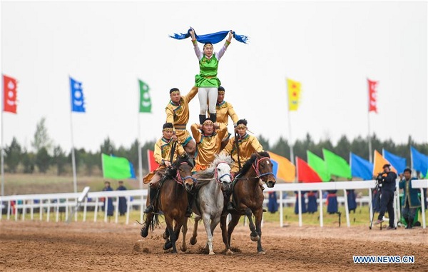 1556239902373070177.jpg ordos5.jpg