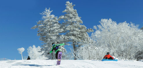 1556242705922071372.jpg 00221917e13e1e2c95ce39.jpg