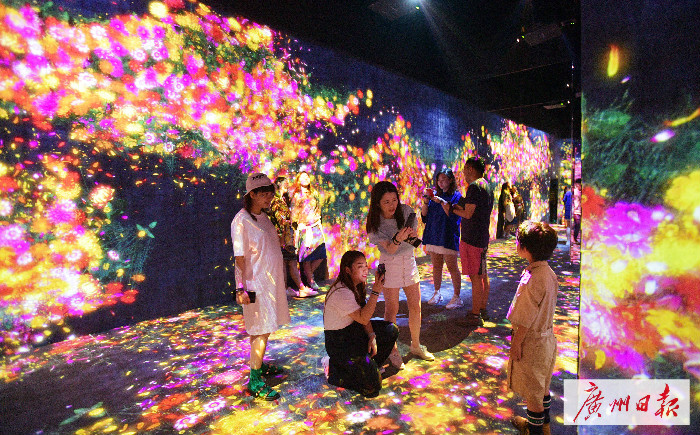 1556443085729035634.jpg 1556443085729035634.jpg