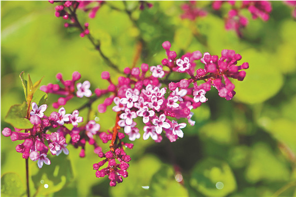 1556502223258076651.jpg 9ea69ee20b1e3b9fc7d6c3f0014c1118.jpg