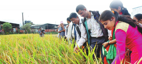 1556422788876035155.jpg c4.jpg