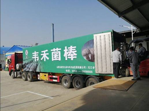 1556271545129008306.jpg 1124390169_15556638434921n_副本.jpg