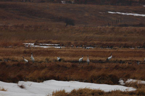 1523864056667067429.jpg eca86bd9ddc71c24459114.jpg