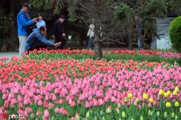 1556606944944012770.jpg 286ed488c82d1e320cdf51.jpg