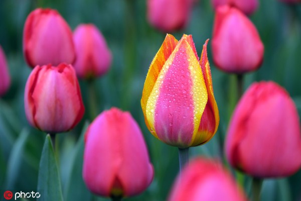 1556606959747094371.jpg 286ed488c82d1e320ce552.jpg